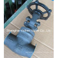 Socket Welded Bonnet Gate Valve